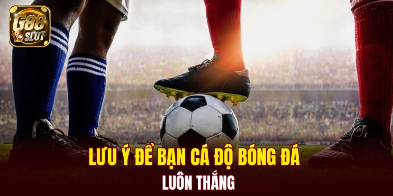Lưu ý để bạn cá độ bóng đá luôn thắng