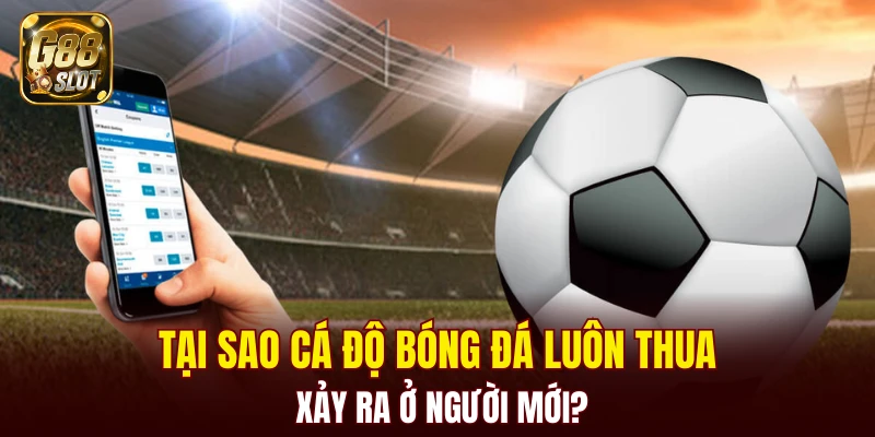 Tại sao cá độ bóng đá luôn thua xảy ra ở người mới?