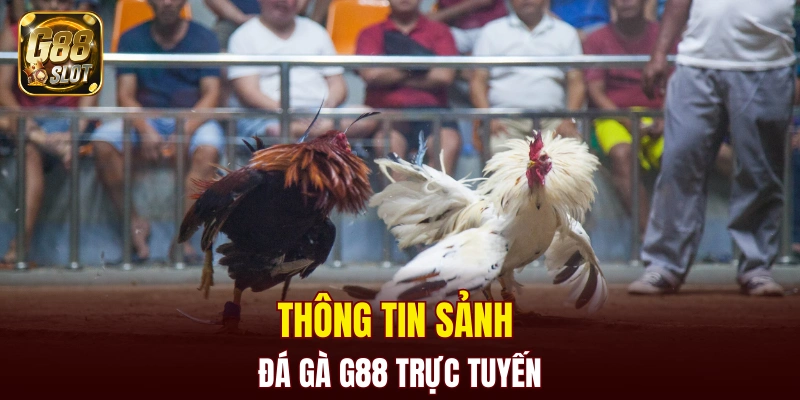 Thông tin sảnh đá gà G88 trực tuyến