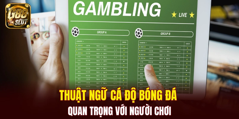 Thuật ngữ cá độ bóng đá quan trọng với người chơi