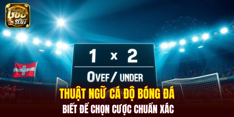 thuật ngữ cá độ bóng đá